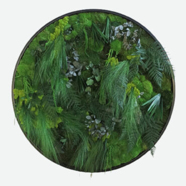Rundt billede mix jungle