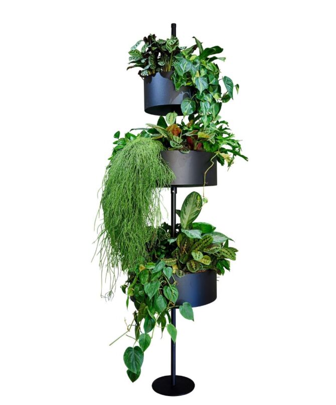 Vertikal plantesøjle