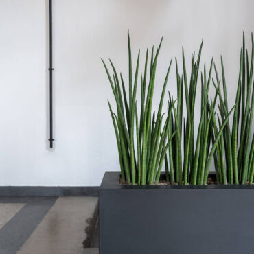 Plantekasse middle high – Natural Collection, Sort