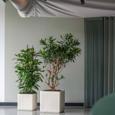 Plantekasse - silke hvid