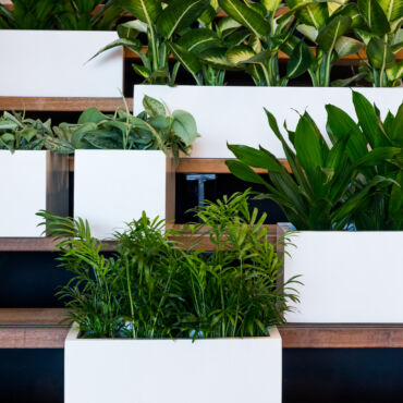 Plantekasse – Natural Collection, hvid