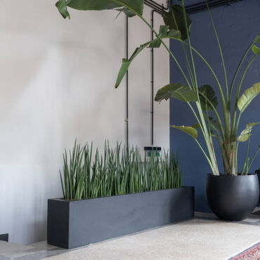 Plantekasse – Natural Collection, Sort