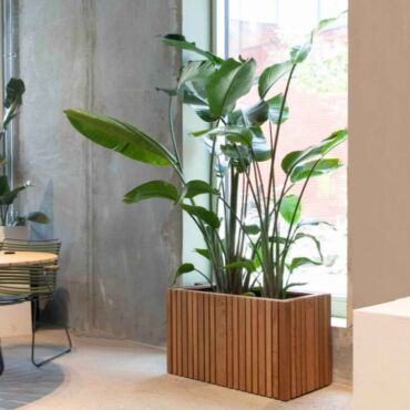 Plantekasse 90x45x52 - mørk egetræ