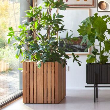Plantekasse i træ - kvadratisk - mørk egetræ