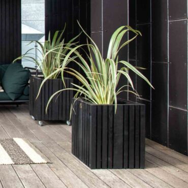 Plantekasse i sort ask - kvadratisk