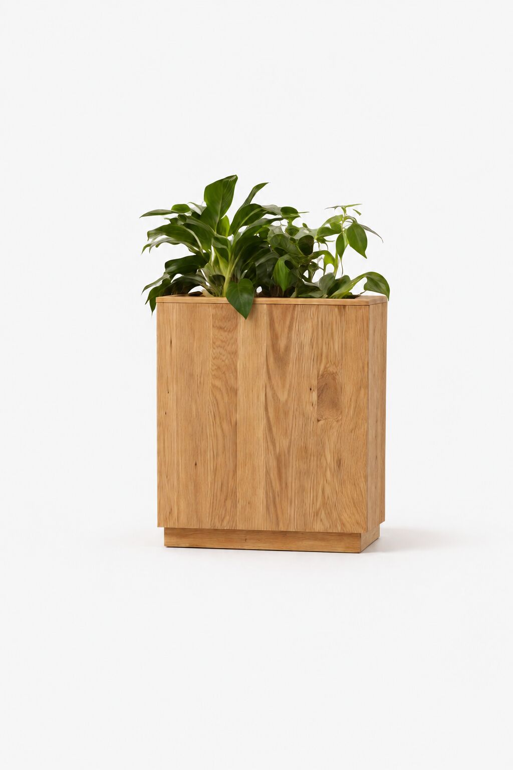 Flora plantekasse